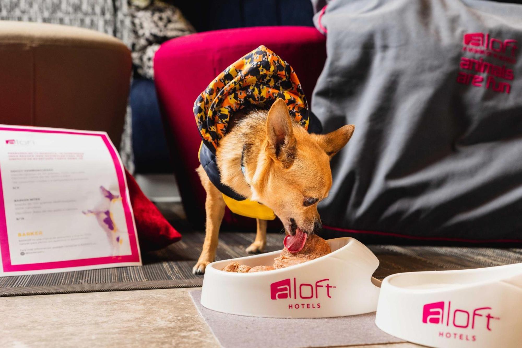 Aloft Lima Miraflores Exteriér fotografie